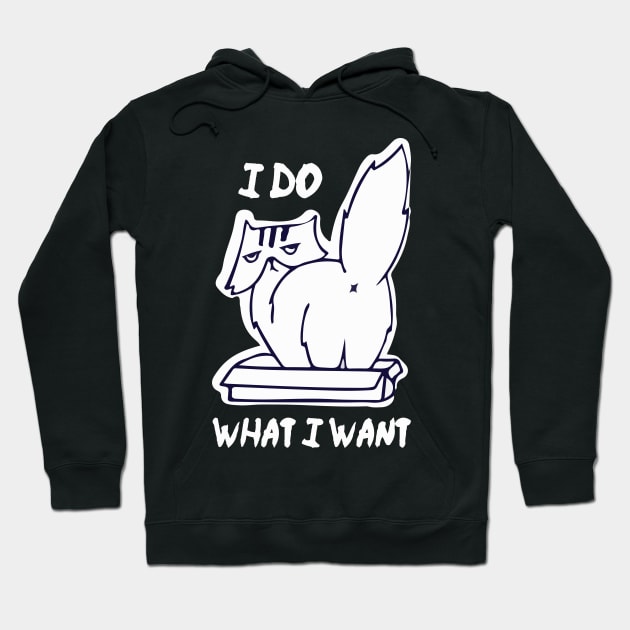 I do what I want Hoodie by sufian